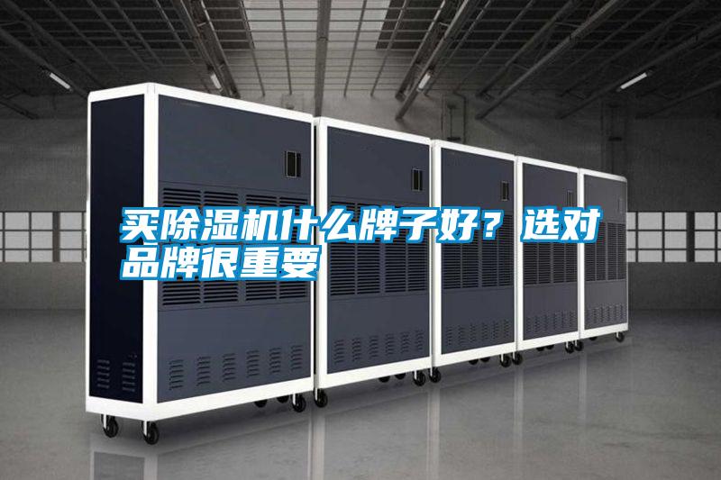 買除濕機什么牌子好？選對品牌很重要