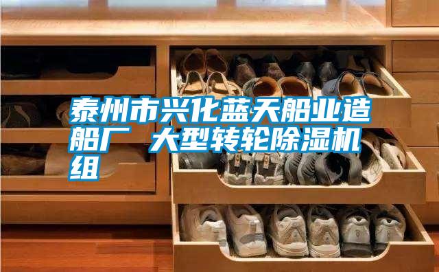 泰州市興化藍(lán)天船業(yè)造船廠 大型轉(zhuǎn)輪除濕機(jī)組