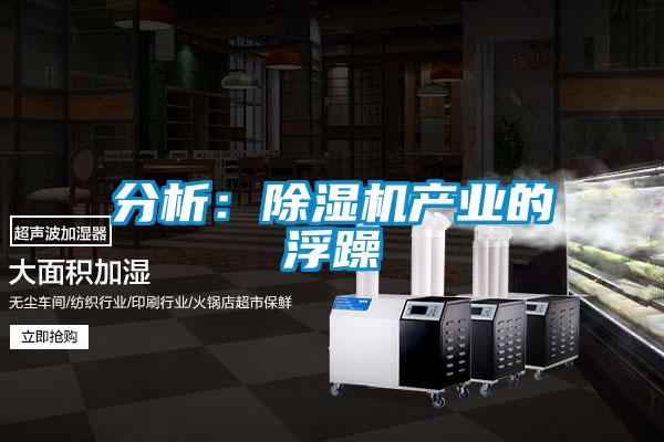 分析:除濕機產業的浮躁
