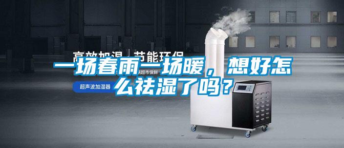 一場春雨一場暖，想好怎么祛濕了嗎？