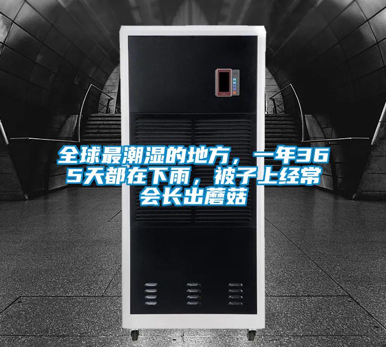 全球最潮濕的地方，一年365天都在下雨，被子上經(jīng)常會(huì)長(zhǎng)出蘑菇