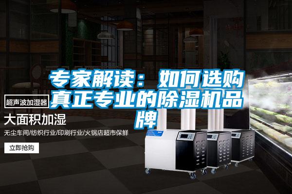 專家解讀:如何選購真正專業(yè)的除濕機(jī)品牌