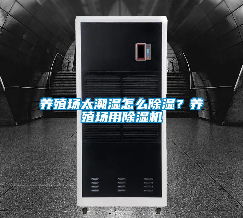 養殖場太潮濕怎么除濕？養殖場用除濕機