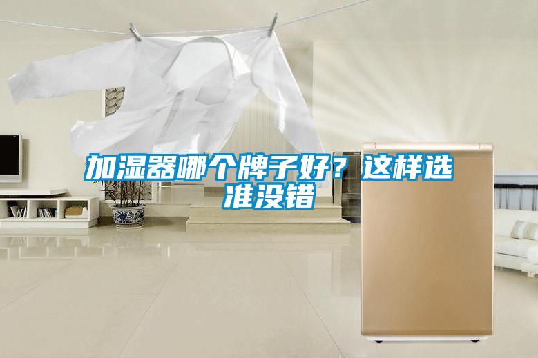 加濕器哪個(gè)牌子好？這樣選準(zhǔn)沒(méi)錯(cuò)
