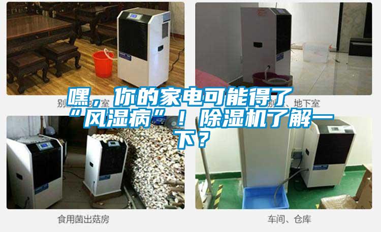 嘿,你的家電可能得了“風濕病”!除濕機了解一下?