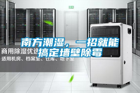 南方潮濕,一招就能搞定墻壁除霉