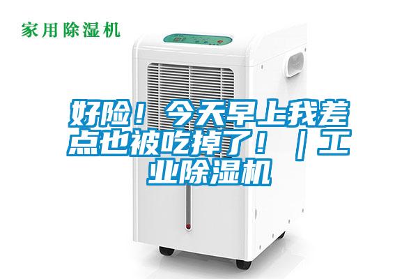好險(xiǎn)！今天早上我差點(diǎn)也被吃掉了！｜工業(yè)除濕機(jī)