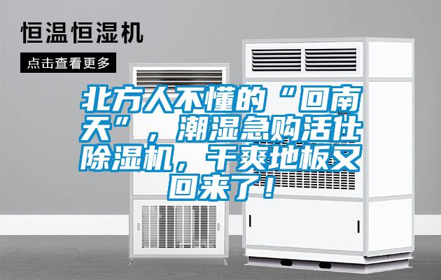 北方人不懂的“回南天”，潮濕急購(gòu)活仕除濕機(jī)，干爽地板又回來(lái)了！