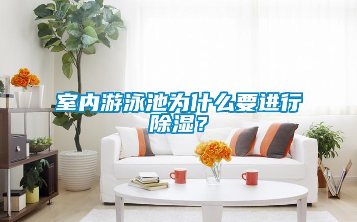 室內(nèi)游泳池為什么要進行除濕？