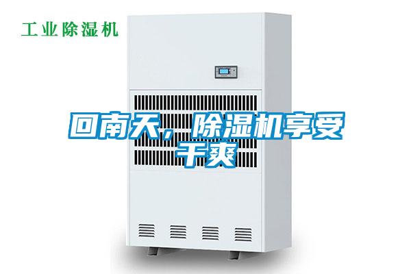 回南天，除濕機(jī)享受干爽
