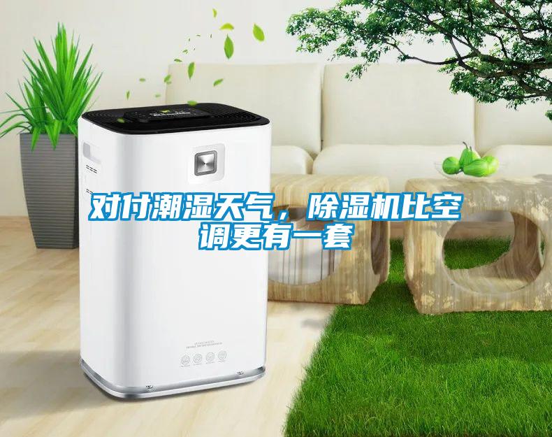 對付潮濕天氣，除濕機比空調更有一套