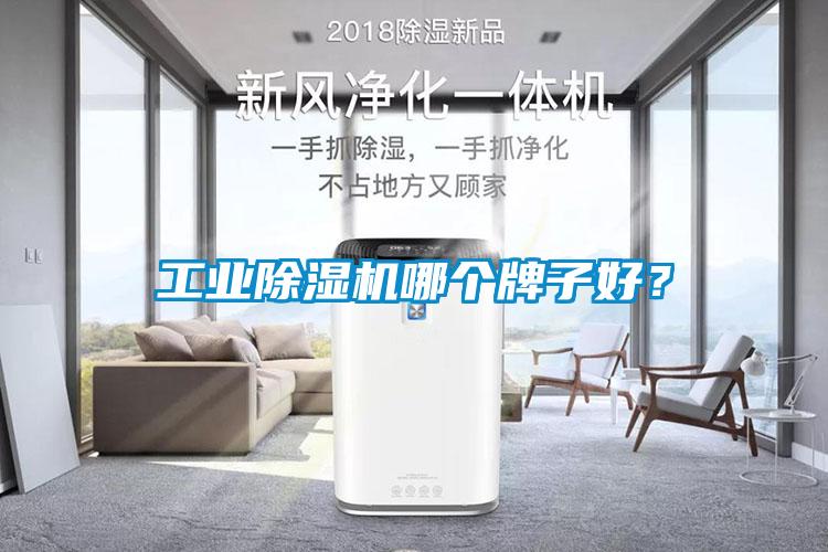 工業除濕機哪個牌子好?