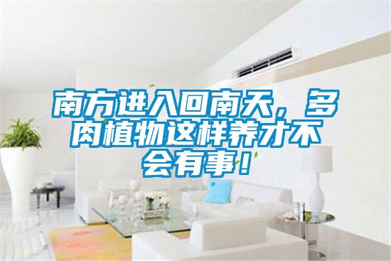 南方進入回南天，多肉植物這樣養才不會有事！