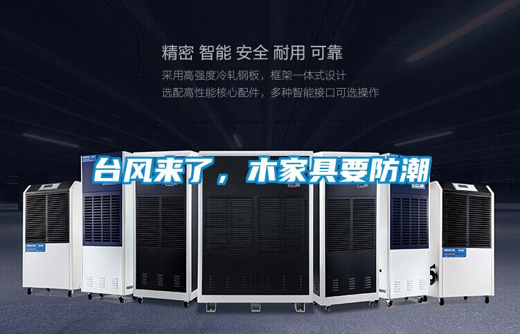 臺風來了，木家具要防潮