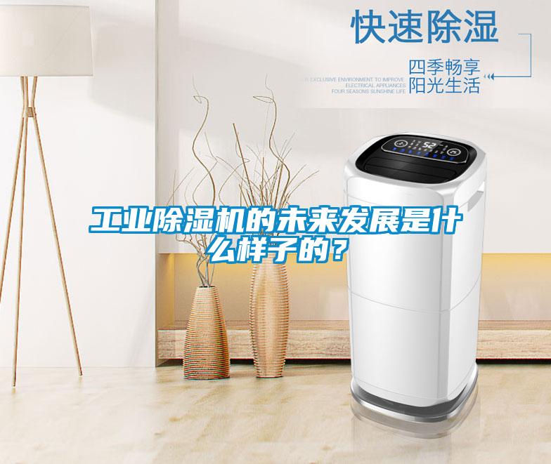 工業(yè)除濕機的未來發(fā)展是什么樣子的？