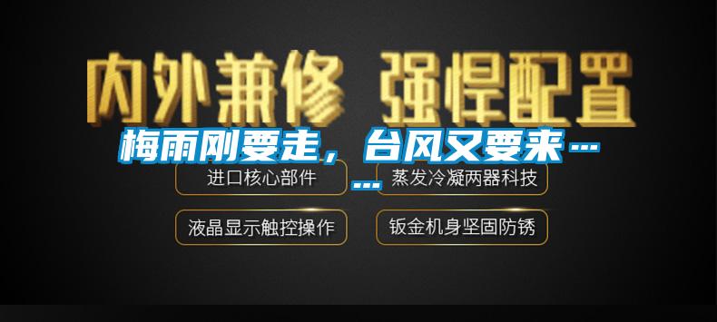 梅雨剛要走，臺風又要來……