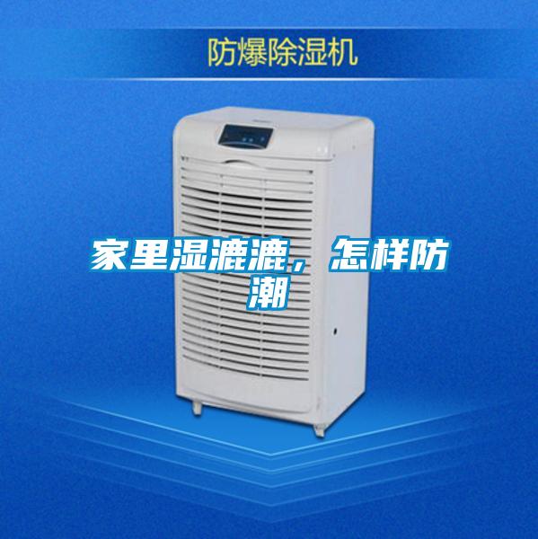 家里濕漉漉,怎樣防潮