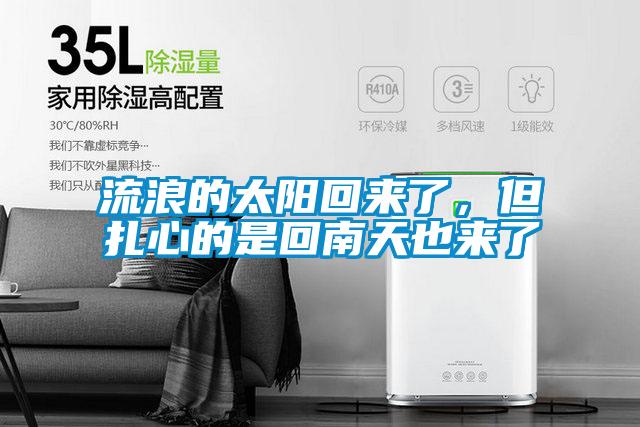 流浪的太陽回來了，但扎心的是回南天也來了