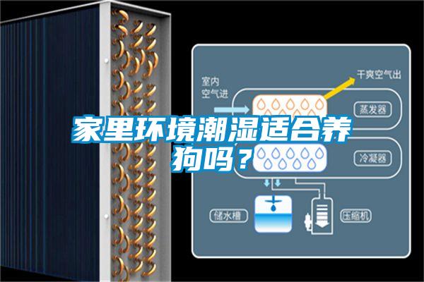 家里環(huán)境潮濕適合養(yǎng)狗嗎？