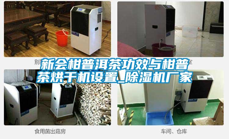 新會柑普洱茶功效與柑普茶烘干機設(shè)置_除濕機廠家