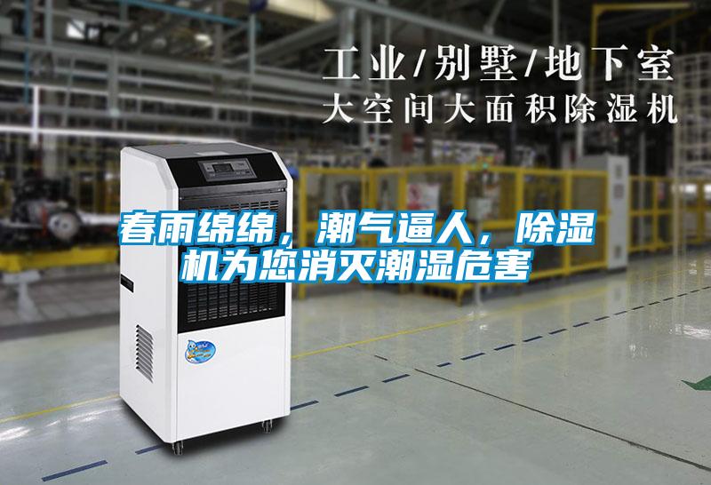 春雨綿綿，潮氣逼人，除濕機為您消滅潮濕危害