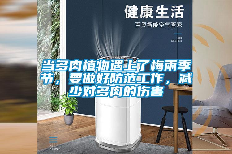 當多肉植物遇上了梅雨季節，要做好防范工作，減少對多肉的傷害