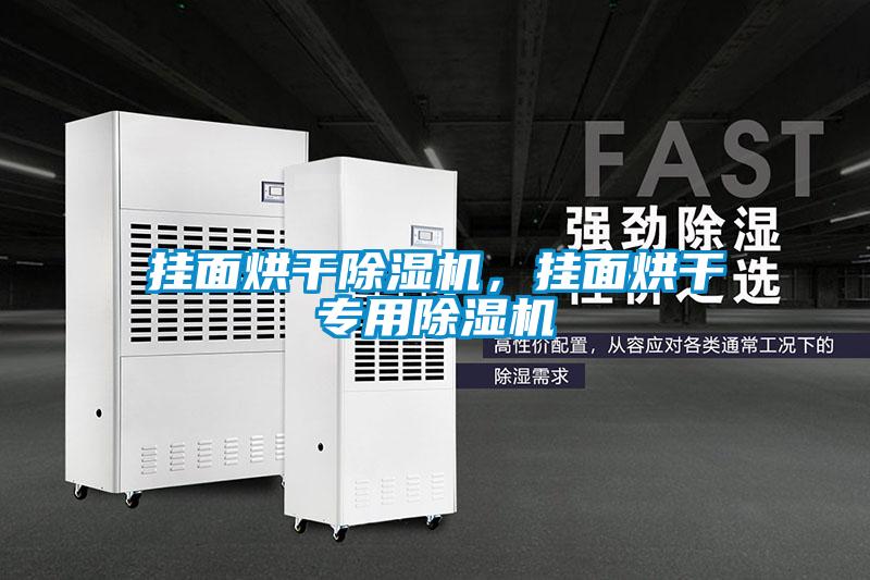 掛面烘干除濕機，掛面烘干專用除濕機