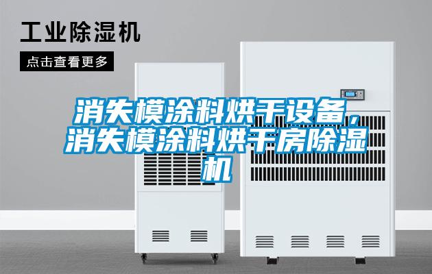 消失模涂料烘干設備，消失模涂料烘干房除濕機