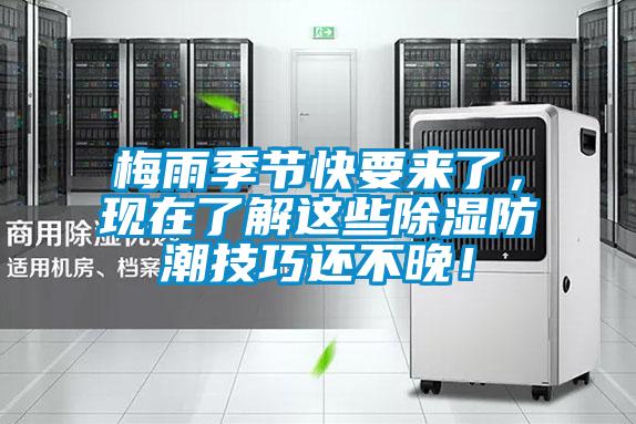 梅雨季節(jié)快要來了，現(xiàn)在了解這些除濕防潮技巧還不晚！