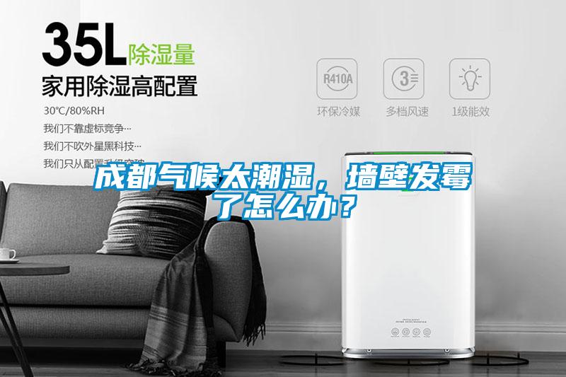 成都氣候太潮濕，墻壁發霉了怎么辦？