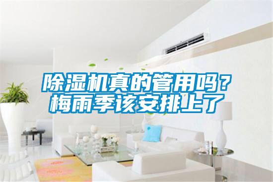 除濕機真的管用嗎？梅雨季該安排上了