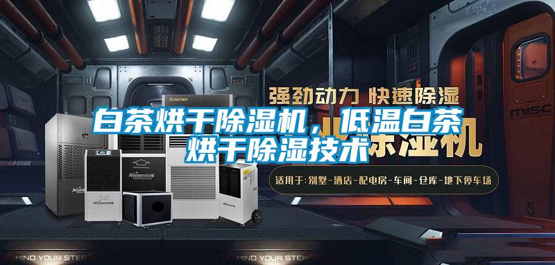 白茶烘干除濕機，低溫白茶烘干除濕技術