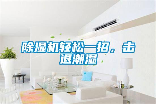 除濕機(jī)輕松一招，擊退潮濕