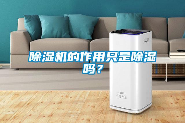 除濕機的作用只是除濕嗎？