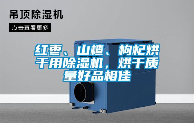 紅棗、山楂、枸杞烘干用除濕機，烘干質(zhì)量好品相佳