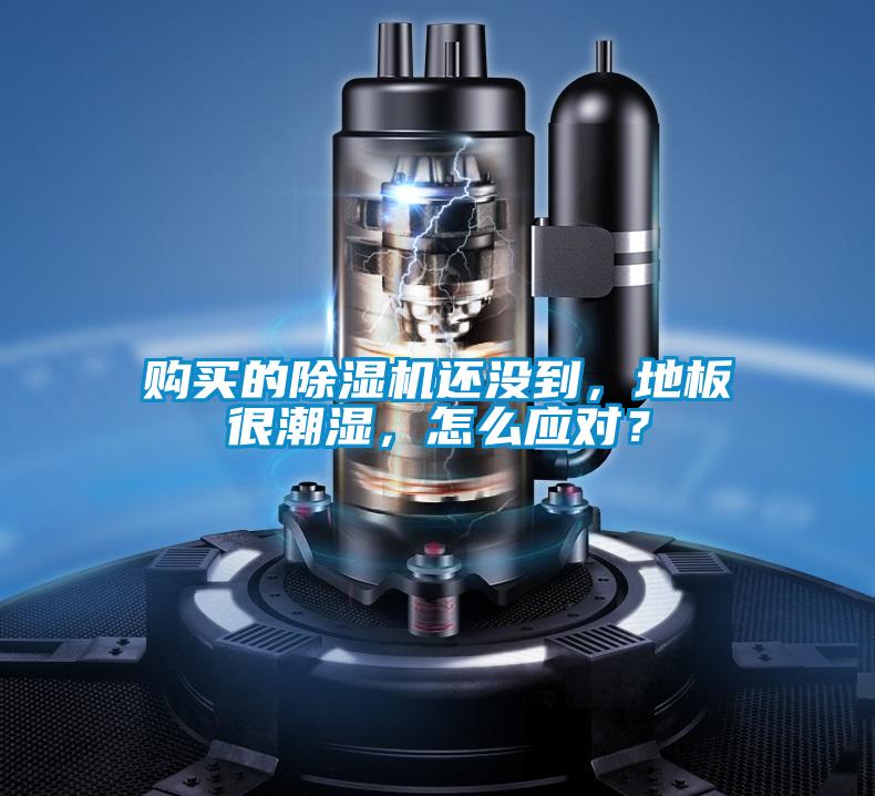 購(gòu)買(mǎi)的除濕機(jī)還沒(méi)到,地板很潮濕,怎么應(yīng)對(duì)?