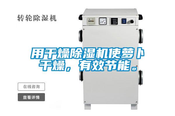 用干燥除濕機使蘿卜干燥，有效節能。