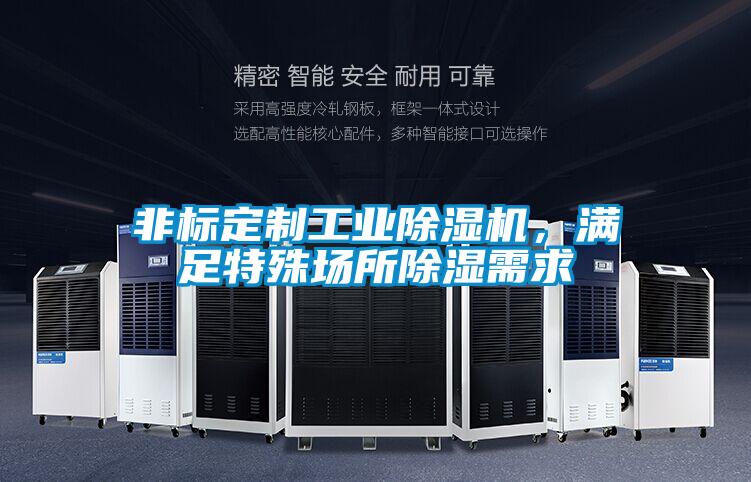 非標定制工業(yè)除濕機，滿足特殊場所除濕需求