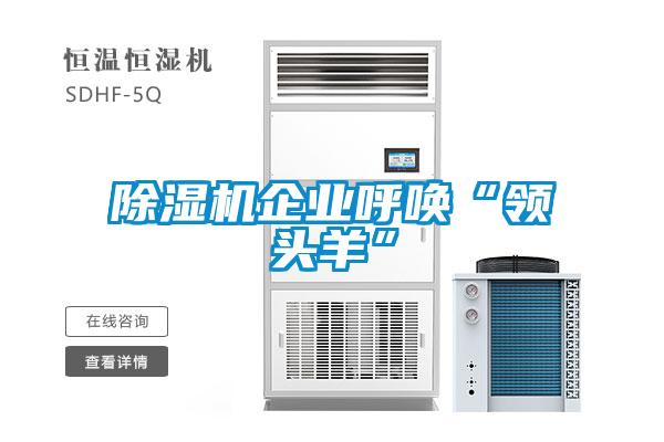 除濕機企業(yè)呼喚“領頭羊”