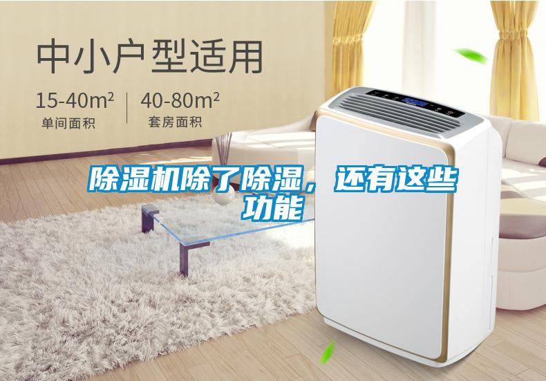 除濕機除了除濕，還有這些功能