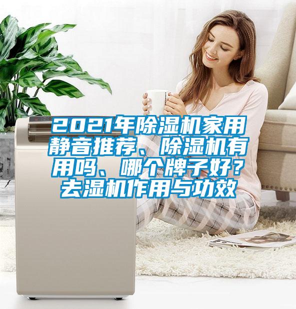 2021年除濕機(jī)家用靜音推薦、除濕機(jī)有用嗎、哪個牌子好？去濕機(jī)作用與功效
