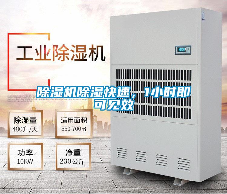 除濕機(jī)除濕快速，1小時(shí)即可見(jiàn)效