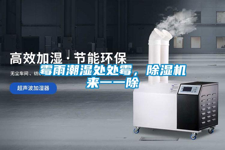 霉雨潮濕處處霉，除濕機(jī)來一一除