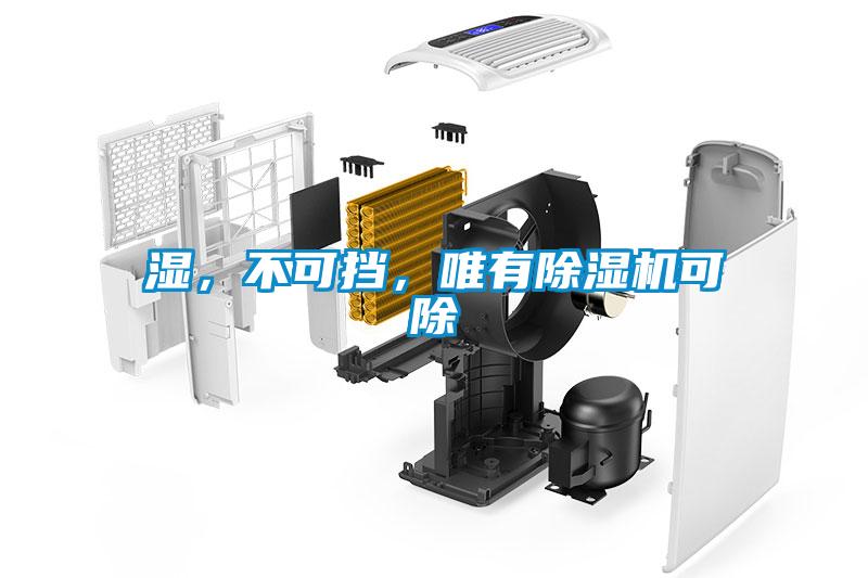 濕，不可擋，唯有除濕機可除