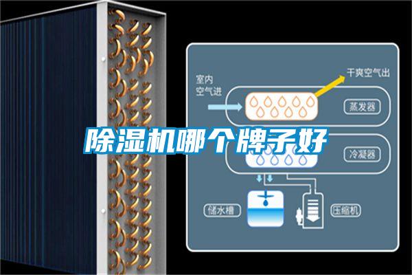 除濕機(jī)哪個牌子好