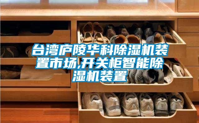 臺灣廬陵華科除濕機裝置市場,開關柜智能除濕機裝置