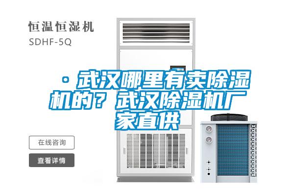 ·武漢哪里有賣除濕機的？武漢除濕機廠家直供