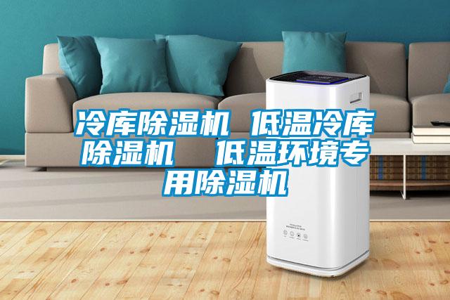 冷庫除濕機(jī) 低溫冷庫除濕機(jī)  低溫環(huán)境專用除濕機(jī)