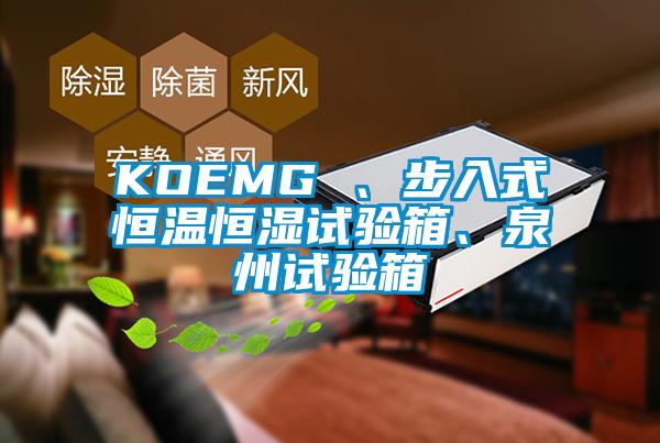 KOEMG 、步入式恒溫恒濕試驗(yàn)箱、泉州試驗(yàn)箱