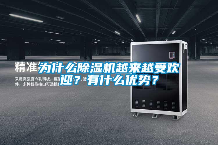為什么除濕機(jī)越來越受歡迎？有什么優(yōu)勢？